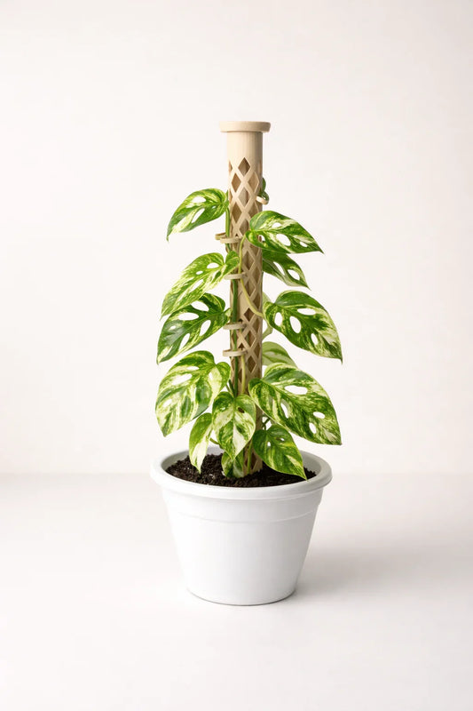 VERTEX – Kit Tutor de Riego (3 Postes)