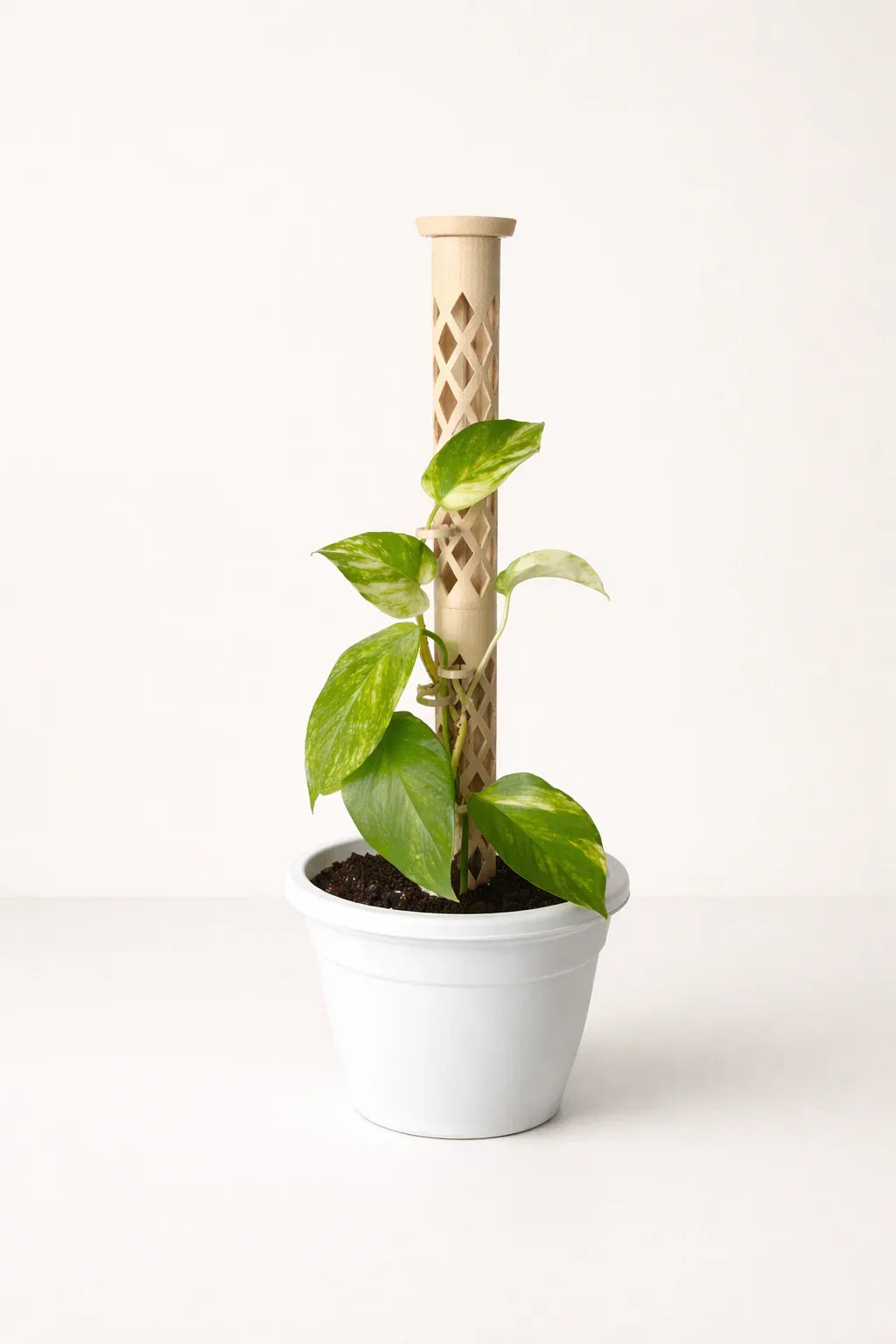 VERTEX – Kit Inicial Tutor Modular