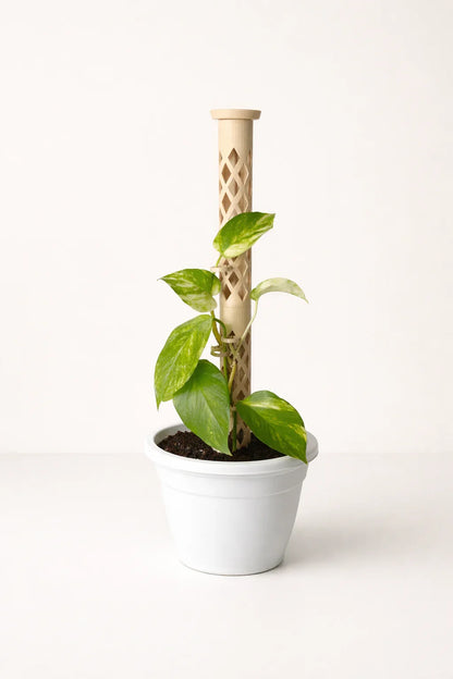 VERTEX – Kit Inicial Tutor Modular